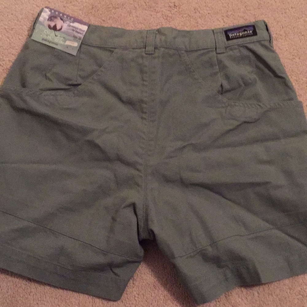 Patagonia lightweight stand up shorts
